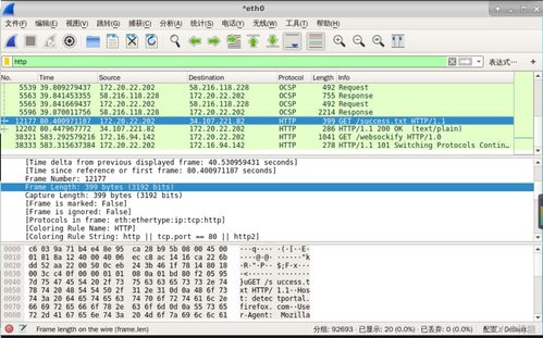 網(wǎng)絡嗅探技術與網(wǎng)絡安全軟件開發(fā)——信息安全實驗探究